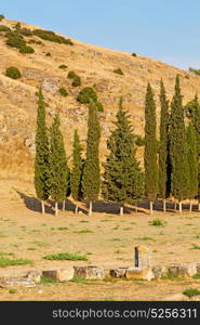 pamukkale old construction in asia turkey the column and the roman temple