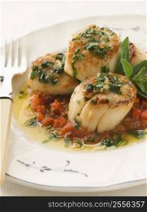 Pan Fried Scallops Piperade and Garlic Butter