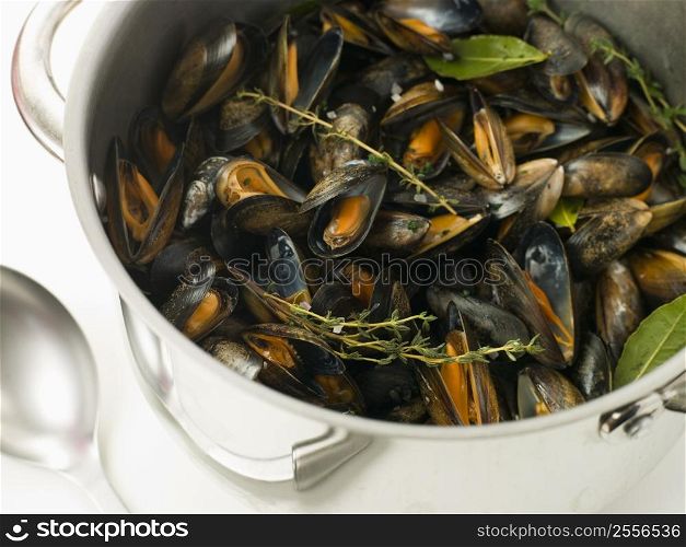 Pan of Moules Mariniere
