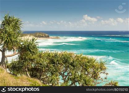 Pandanus palms and rocky headlands along the Queensland coastline