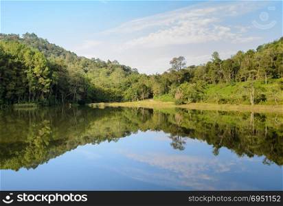 Pang Oung national park, beautiful forest lake in the morning, Mae Hong Son, Thailand