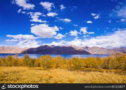 Pangong Lake, is an endorheic lake in the Himalayas