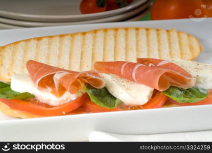 panini sandwich with fresh caprese and parma ham