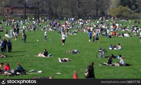 Panning across hundreds of people enjoying a beautiful day on a large grass field in Central Park. Some blur is added to the foreground.