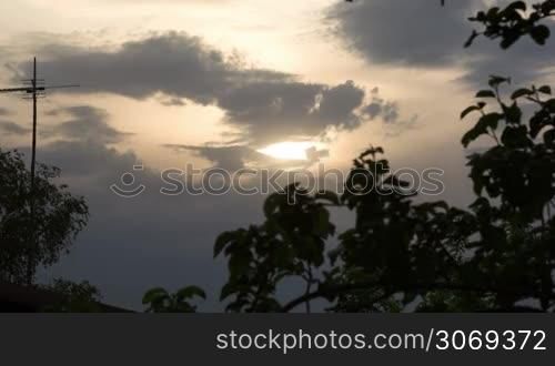 Panning shot of nature scene at sunset. Trees against cloudy sky background