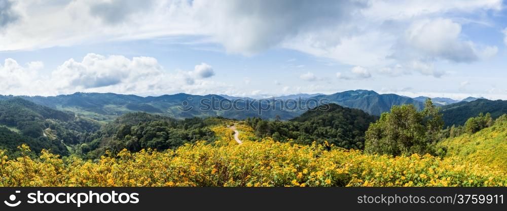 panorama field of flowers and mountains.Cloud Cover the Sky A tourist attraction in Thailand.