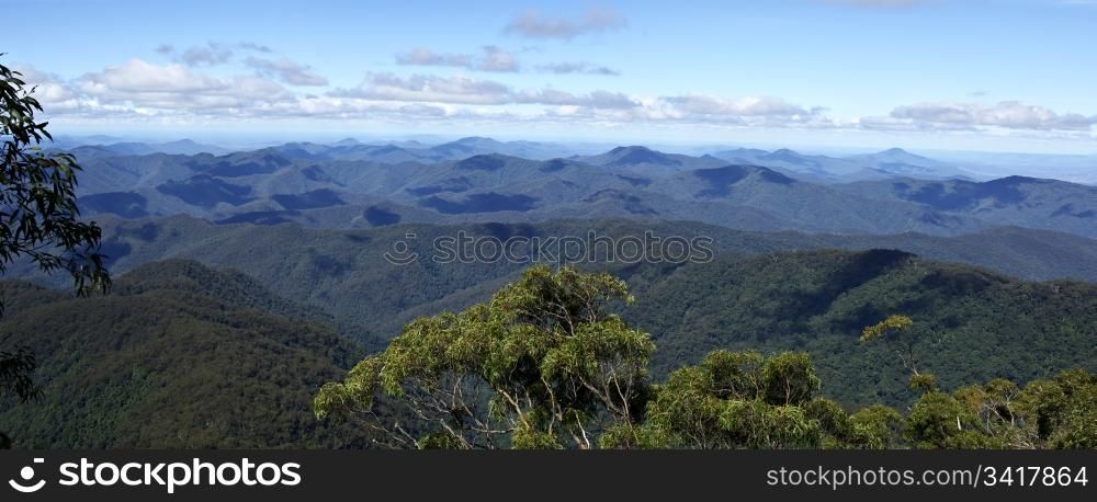 panorama from point lookout looking over the forests and rainforestsof the oxley world heritage area. panorama from point lookout