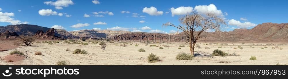 Panorama in Timna park in Negev desert, Israel