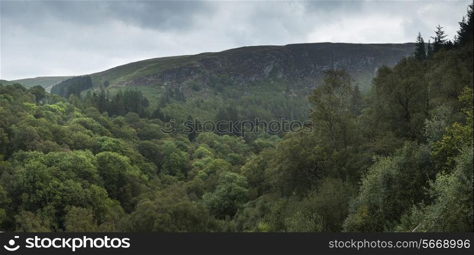 Panorama landscape image of lush green forest in Summer with mountain background