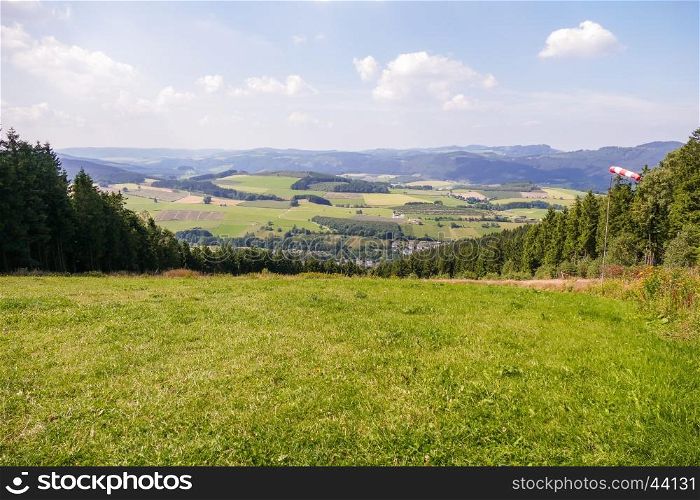 Panorama landscape with meadows and pine trees.