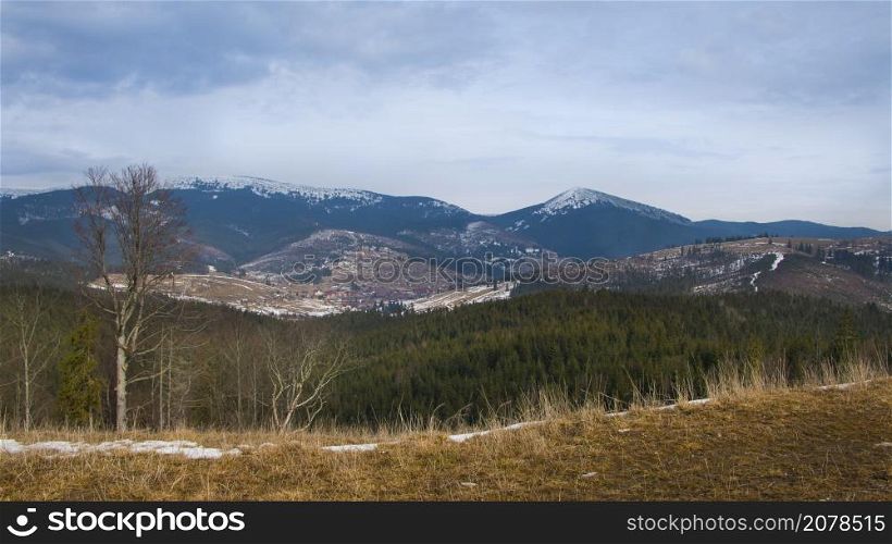 Panorama landscape with mountains and pine forest