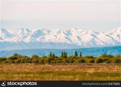 Panorama of a beautiful landscape with trees and fields in the foreground and mountain ranges with snow-capped in the background. Kazakhstan.. Panorama of a beautiful landscape with trees and fields in the foreground and mountain ranges with snow-capped in the background. Kazakhstan