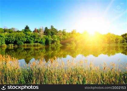 Panorama of a magnificent sunrise on the lake, with reeds and trees reflecting in the water.