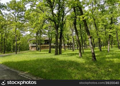 Panorama of a path through a lush green summer forest, Ludogorie, Bulgaria