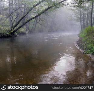 Panorama of a wild river, autumn in a national park of a Lithuania