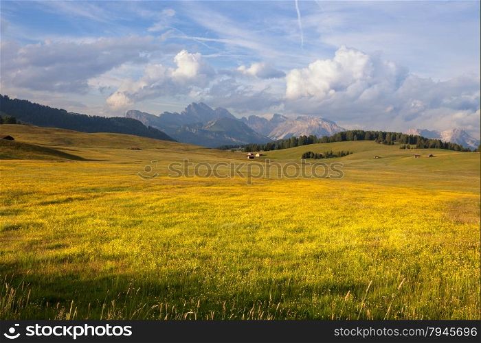 Panorama of Alpe di Suisi, Dolomites mountains, Italy