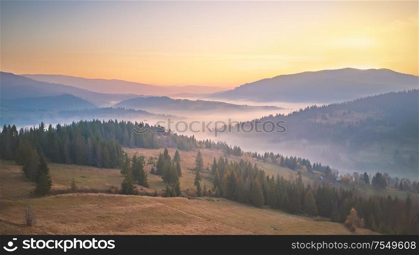 Panorama of beautiful autumn mountains. Misty woodland in the morning. Sunrise over mountain foggy valley. Trees on hills in the fog. Carpathians, Ukraine