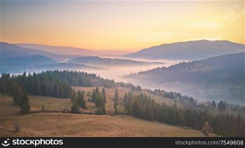 Panorama of beautiful autumn mountains. Misty woodland in the morning. Sunrise over mountain foggy valley. Trees on hills in the fog. Carpathians, Ukraine