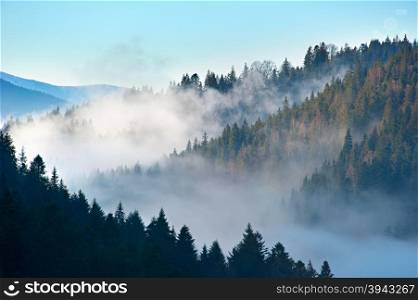 Panorama of Carpathians mountains in the foggy morning