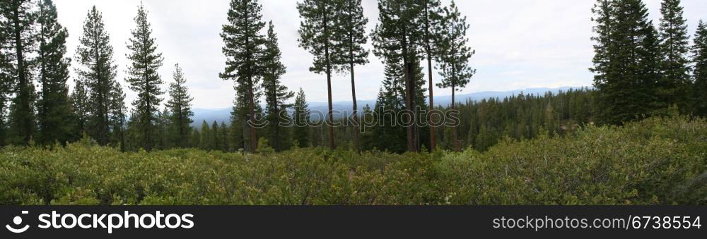 Panorama of central Oregon forest & Mountains, Newberry National Volcanic Monument, Central Oregon