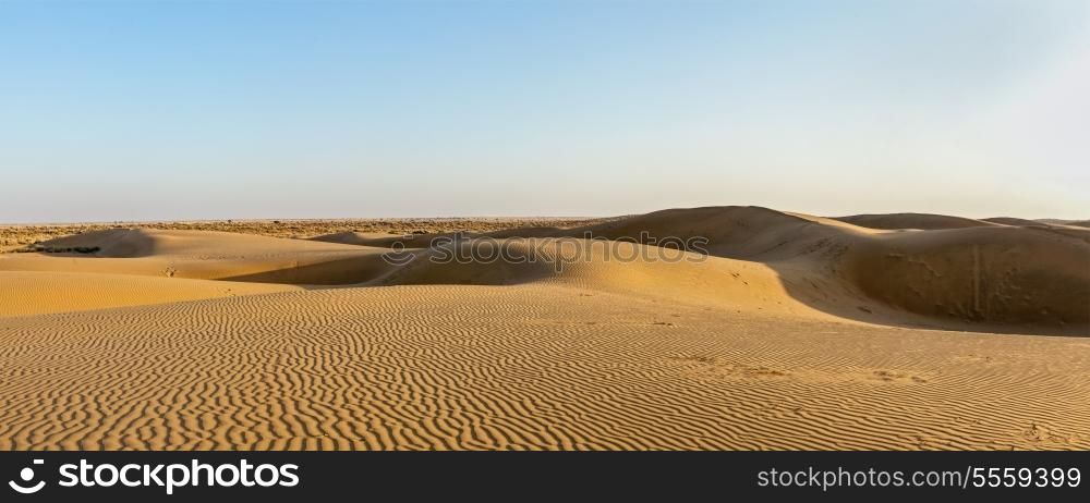Panorama of dunes in Thar Desert. Sam Sand dunes, Rajasthan, India