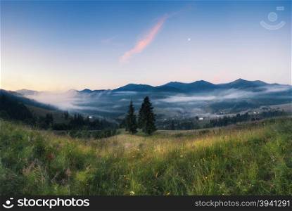 Panorama of early morning mountains hills. Carpathian mountains, Ukraine
