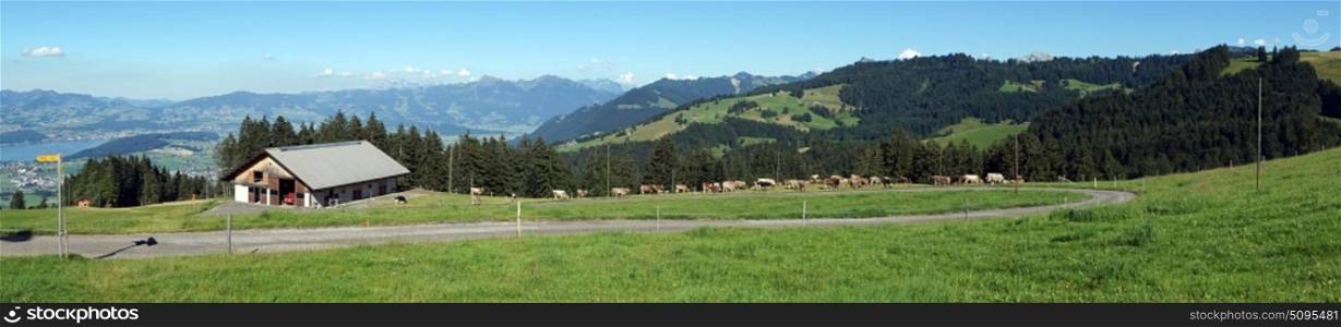Panorama of farm house and green pasture and forest in Switzerland