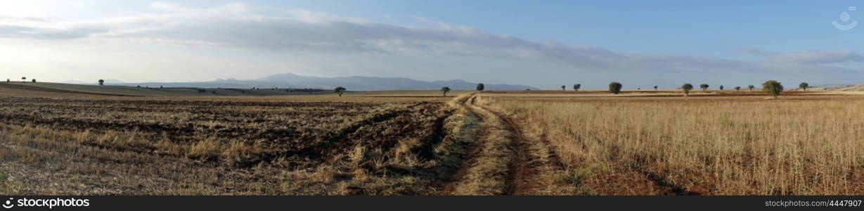 Panorama of farmland in Turkey