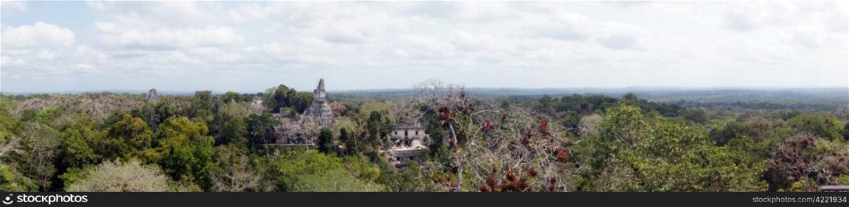 Panorama of forest and ruins in Tikal, Guatemala