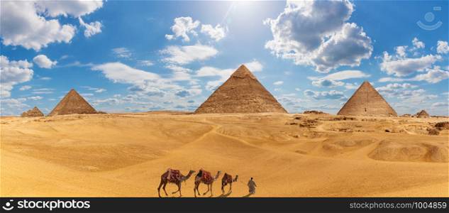 Panorama of Giza with the Pyramids, camels and a bedouin.. Panorama of Giza with the Pyramids, camels and a bedouin