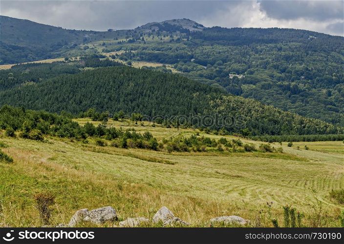 Panorama of glade and green forest in front of Black peak, Vitosha mountain, Bulgaria