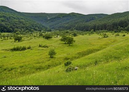 Panorama of glade and green forest, Vitosha mountain, Bulgaria