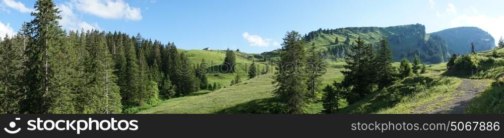 Panorama of green forest and road in Switzerland