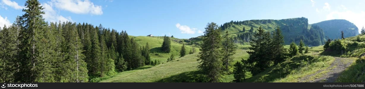 Panorama of green forest and road in Switzerland