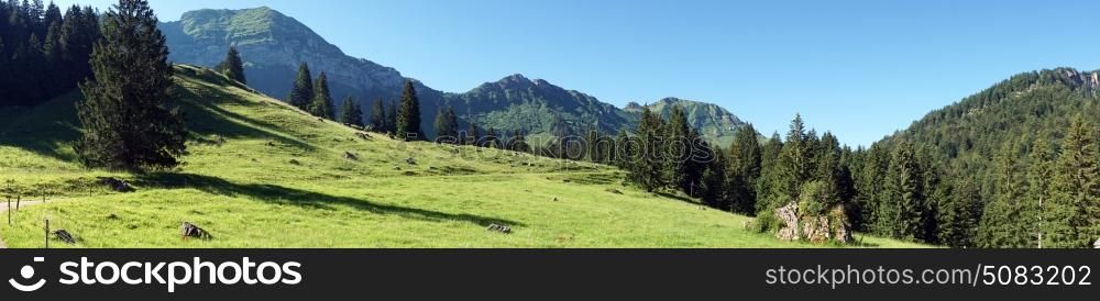 Panorama of green slope in mountain area in Switzerland