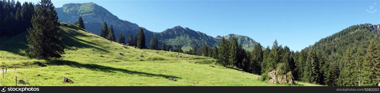 Panorama of green slope in mountain area in Switzerland