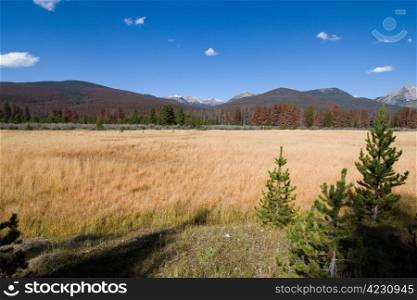 Panorama of high mountains and meadows, usa