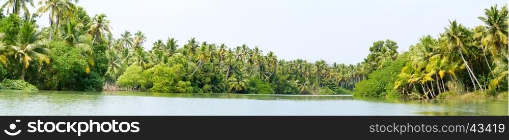 Panorama of Kerala backwaters - a chain of brackish lagoons and lakes lying parallel to the Arabian Sea coast in Kerala, southern India