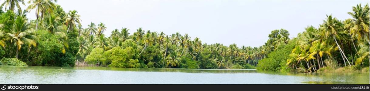 Panorama of Kerala backwaters - a chain of brackish lagoons and lakes lying parallel to the Arabian Sea coast in Kerala, southern India