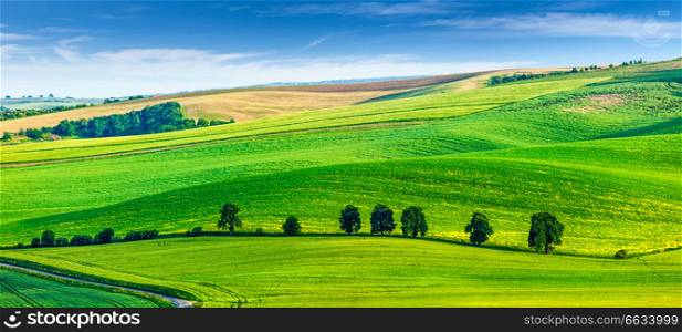 Panorama of Moravian rolling landscape with trees. South Moravia, Czech Republic. Rolling landscape of South Moravia with trees.