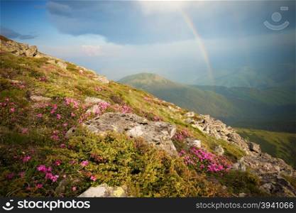 Panorama of mountain hills with rainbow in the sky
