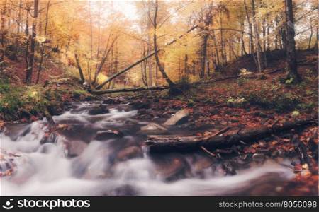 Panorama of river in autumn colors forest. Great Smoky Mountains National Park, USA