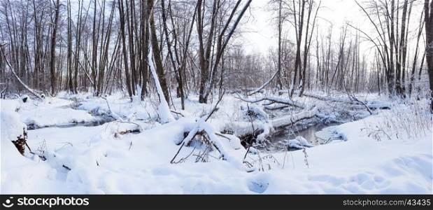 Panorama of snow-covered forest with a creek flowing between snowdrifts on a sunny windless winter frosty day