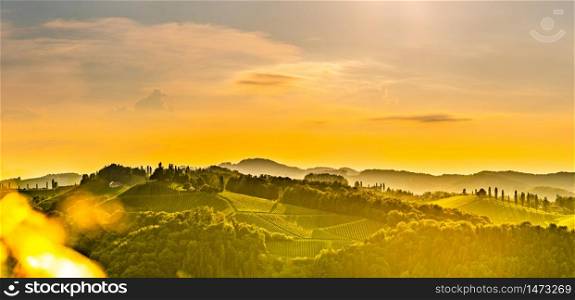 Panorama of South Styria Vineyards landscape in Eckberg near Gamlitz ,Austria. View at Vineyard fields in sunset sun in summer. Tourist destination.. Panorama View at South Styria Vineyard fields in sunset sun in summer. Eckberg Tourist destination.