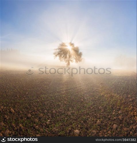 Panorama of sunny and foggy landscape. Tuscany, Italy, Europe.
