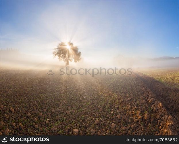 Panorama of sunny and foggy landscape. Tuscany, Italy, Europe.