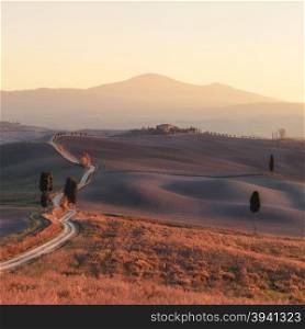 Panorama of sunny Tuscany valley. Tuscany, Italy, Europe.