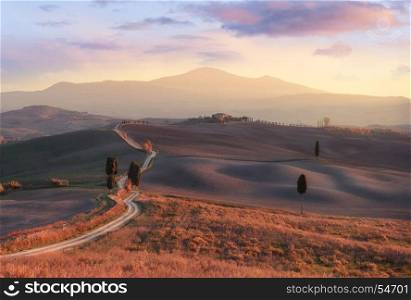 Panorama of sunny Tuscany valley. Tuscany, Italy, Europe.