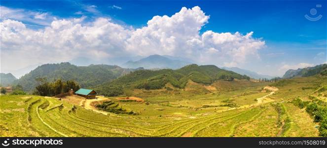 Panorama of Terraced rice field in Sapa, Lao Cai, Vietnam in a summer day