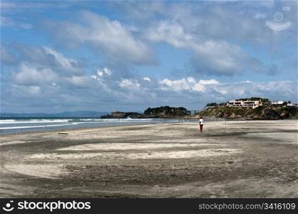 panorama of the coast and beach Monpiche in Ecuador